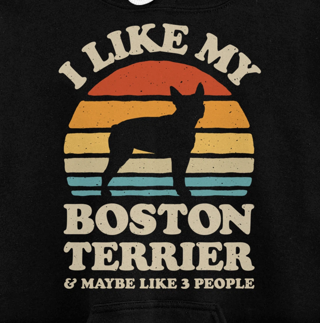 I Like My Boston Terrier And Maybe Like 3 People Dog Retro Pullover Hoodie