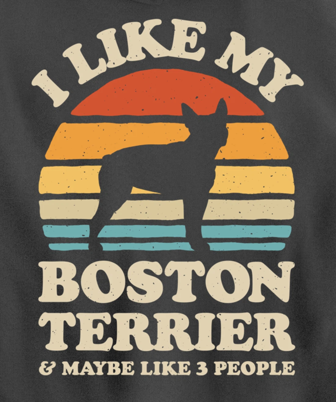 I Like My Boston Terrier And Maybe Like 3 People Dog Retro Pullover Hoodie