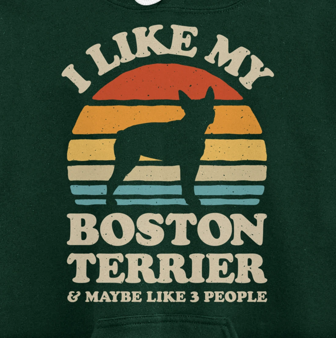 I Like My Boston Terrier And Maybe Like 3 People Dog Retro Pullover Hoodie