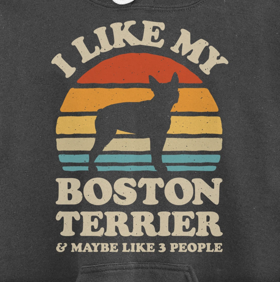 I Like My Boston Terrier And Maybe Like 3 People Dog Retro Pullover Hoodie