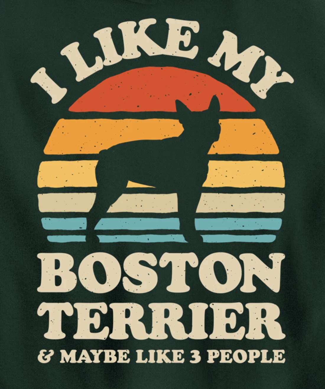 I Like My Boston Terrier And Maybe Like 3 People Dog Retro Pullover Hoodie