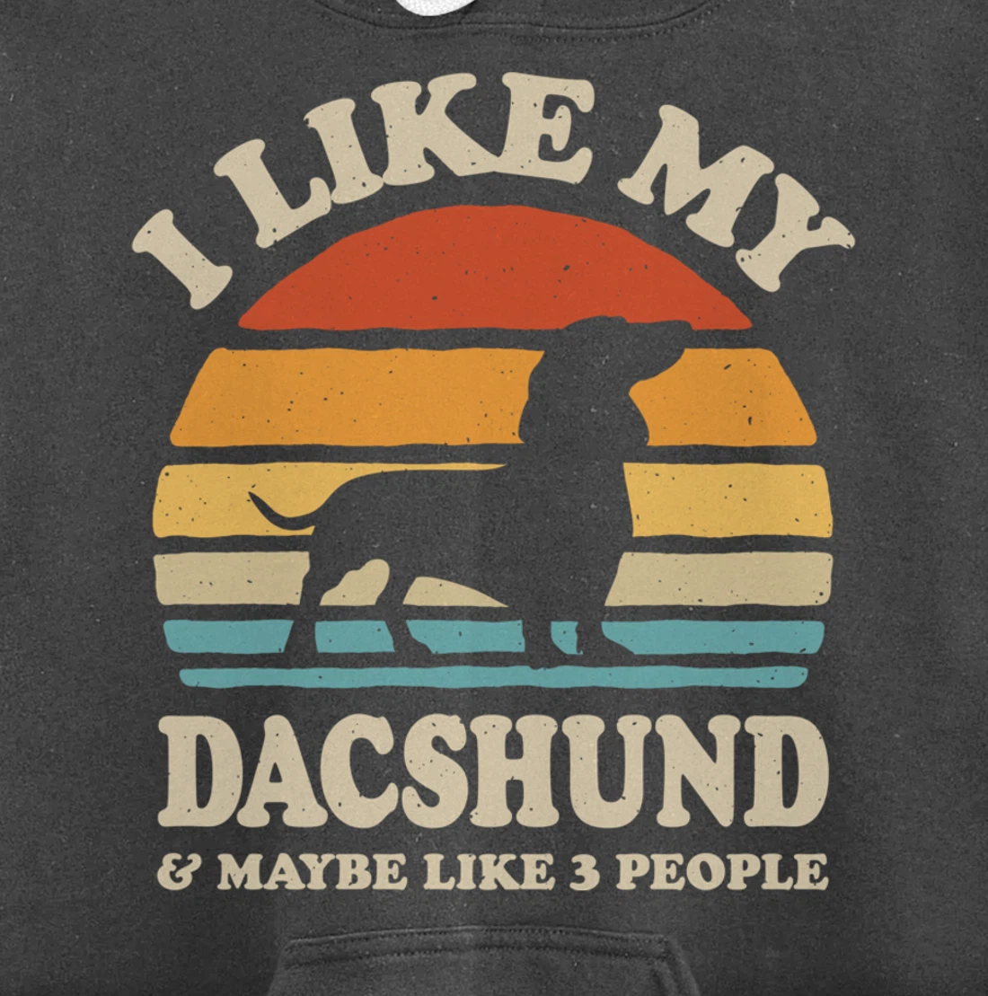 I Like My Dachshund And Maybe Like 3 People Dog Lover Retro Pullover Hoodie