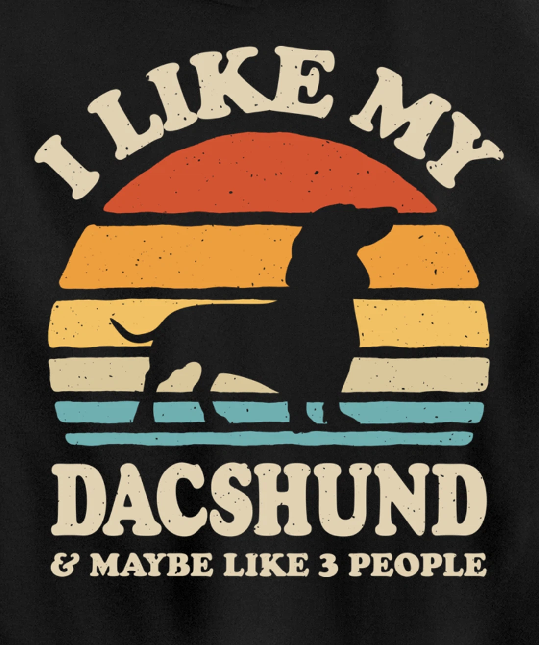 I Like My Dachshund And Maybe Like 3 People Dog Lover Retro Pullover Hoodie