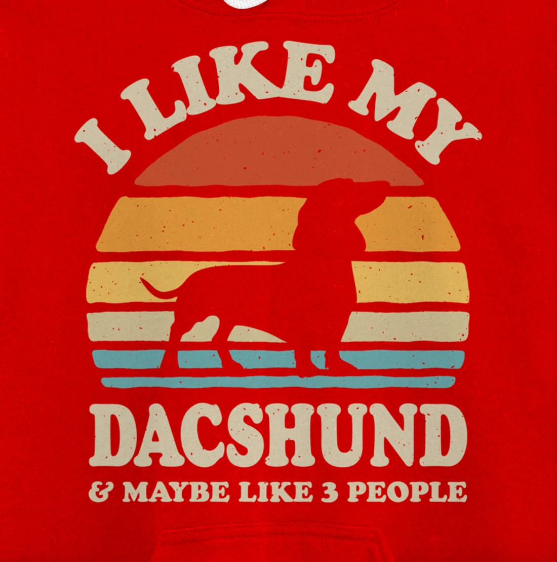 I Like My Dachshund And Maybe Like 3 People Dog Lover Retro Pullover Hoodie