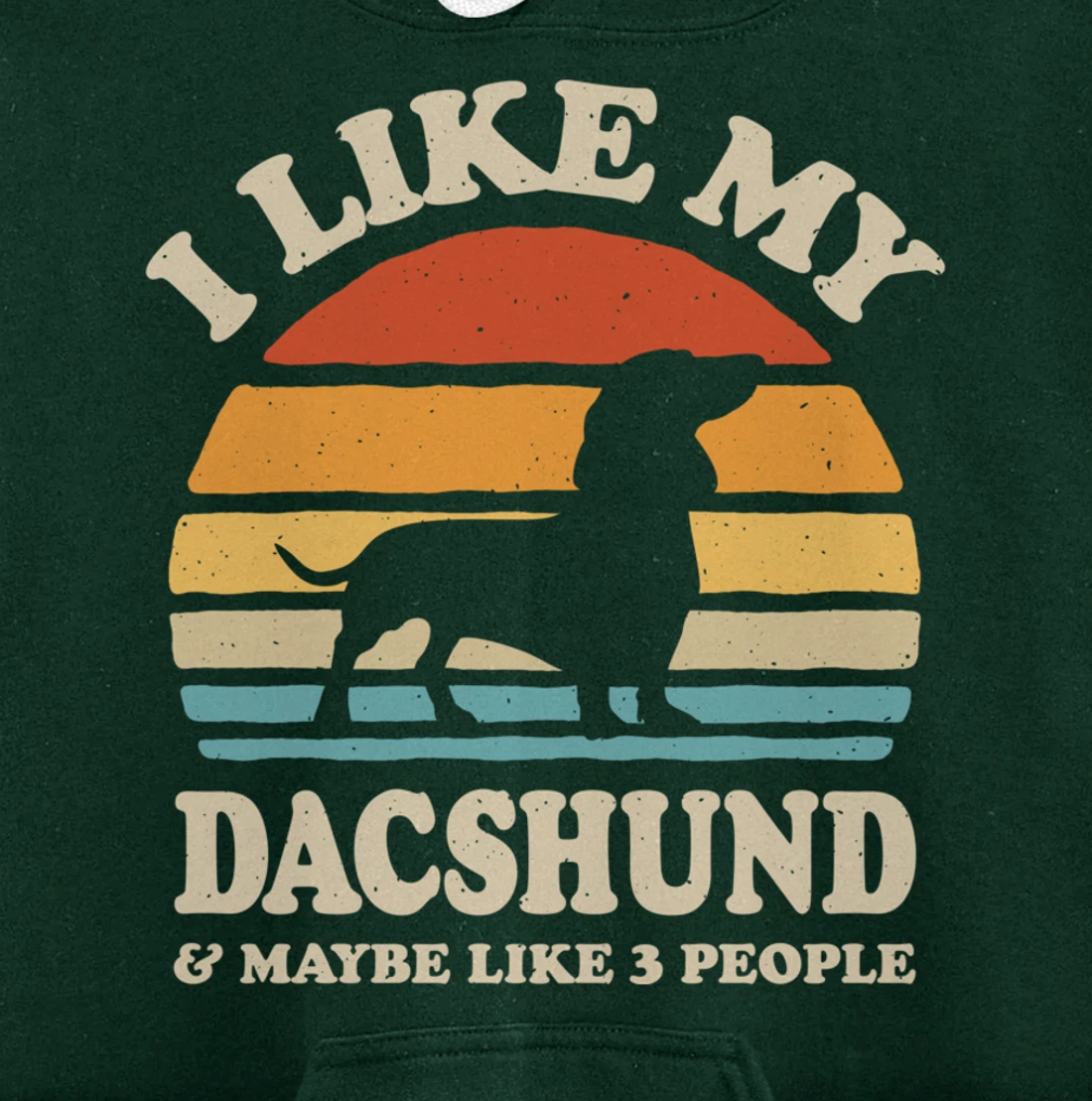 I Like My Dachshund And Maybe Like 3 People Dog Lover Retro Pullover Hoodie