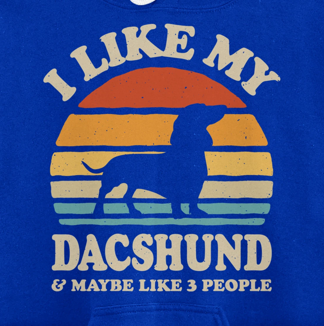 I Like My Dachshund And Maybe Like 3 People Dog Lover Retro Pullover Hoodie