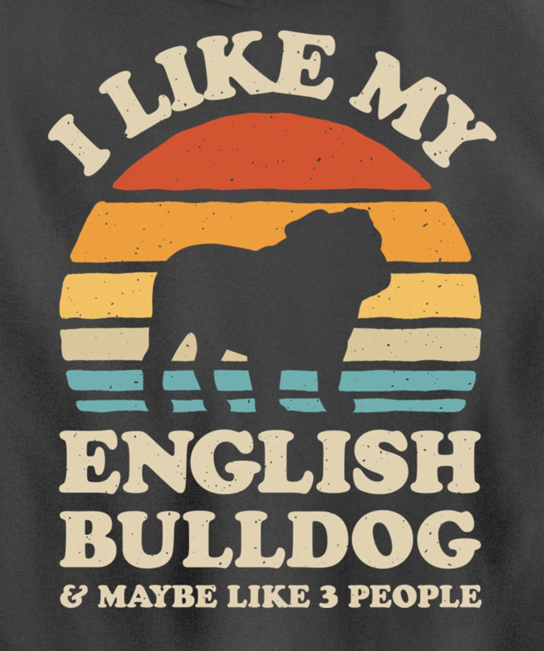 I Like My English Bulldog And Maybe Like 3 People Dog Retro Pullover Hoodie