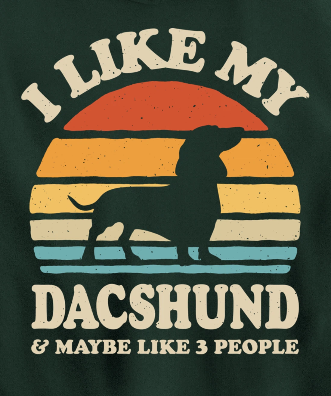 I Like My Dachshund And Maybe Like 3 People Dog Lover Retro Pullover Hoodie