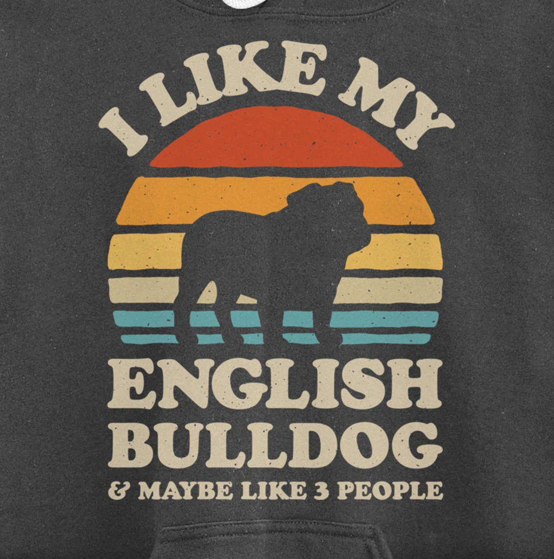 I Like My English Bulldog And Maybe Like 3 People Dog Retro Pullover Hoodie