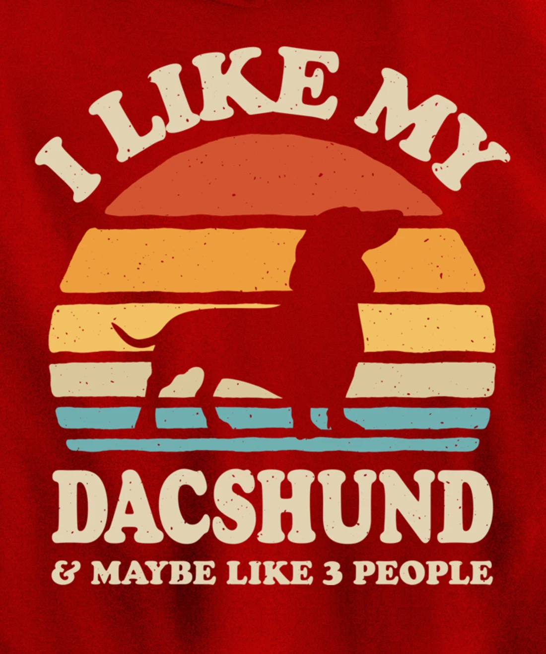 I Like My Dachshund And Maybe Like 3 People Dog Lover Retro Pullover Hoodie