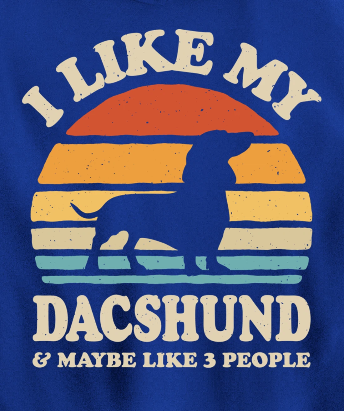 I Like My Dachshund And Maybe Like 3 People Dog Lover Retro Pullover Hoodie