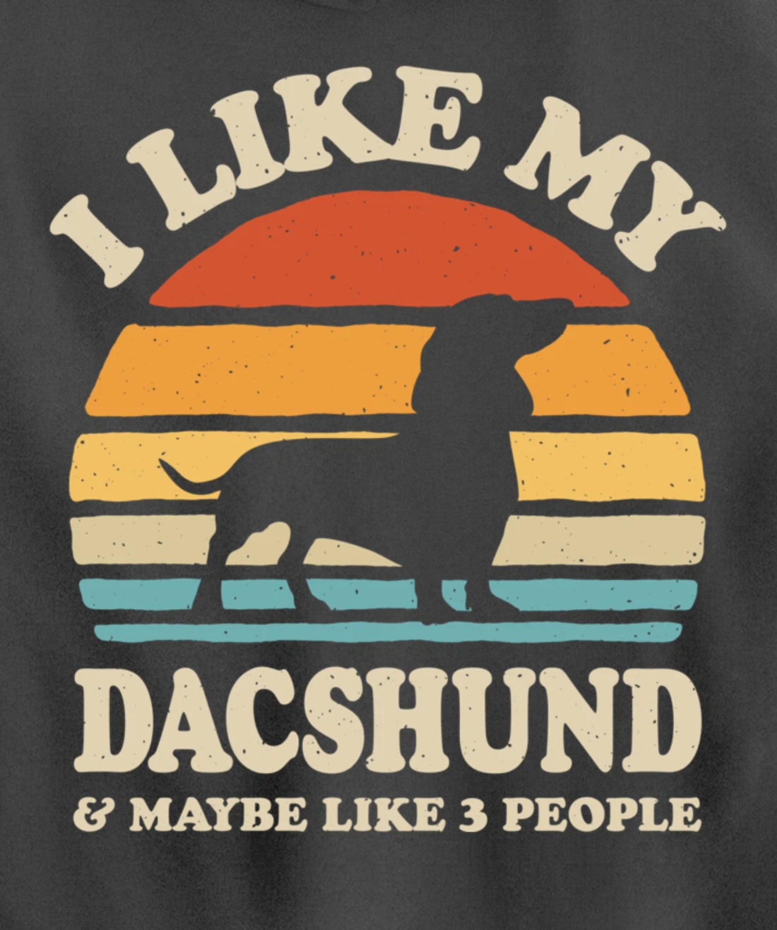 I Like My Dachshund And Maybe Like 3 People Dog Lover Retro Pullover Hoodie