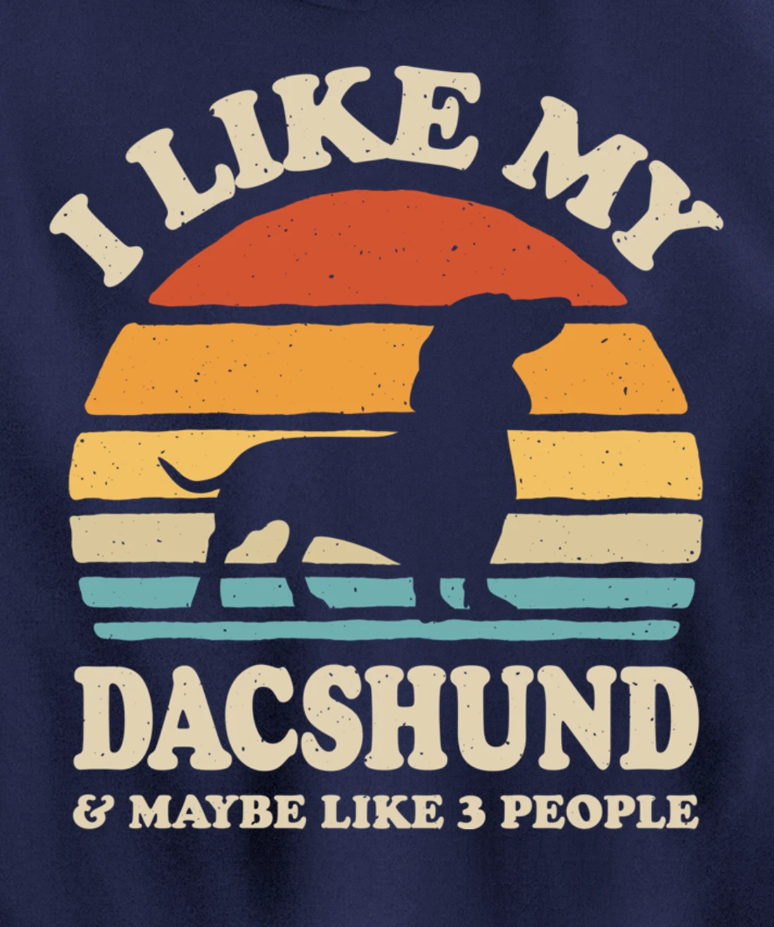 I Like My Dachshund And Maybe Like 3 People Dog Lover Retro Pullover Hoodie