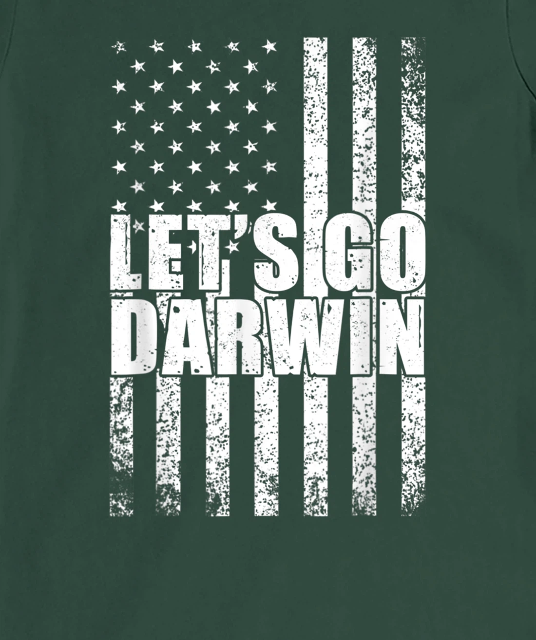 Lets Go Darwin Funny Sarcastic Vintage us Flag Graphic T-Shirt, Women T-Shirt