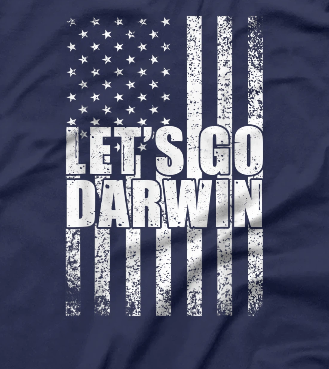 Lets Go Darwin Funny Sarcastic Vintage us Flag Graphic T-Shirt, Women T-Shirt