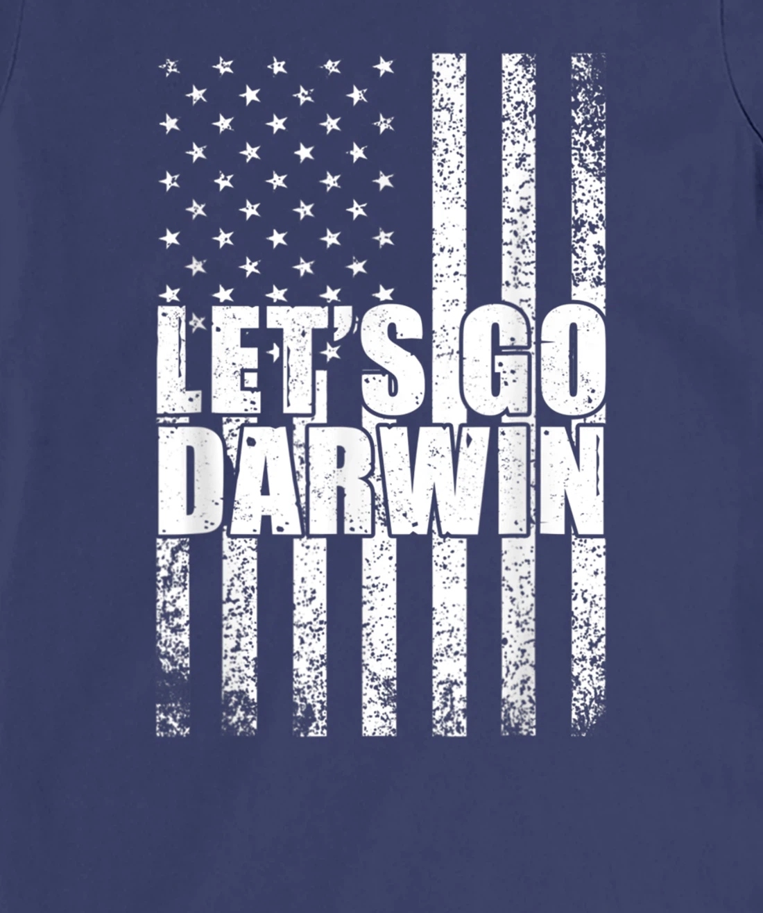 Lets Go Darwin Funny Sarcastic Vintage us Flag Graphic T-Shirt, Women T-Shirt