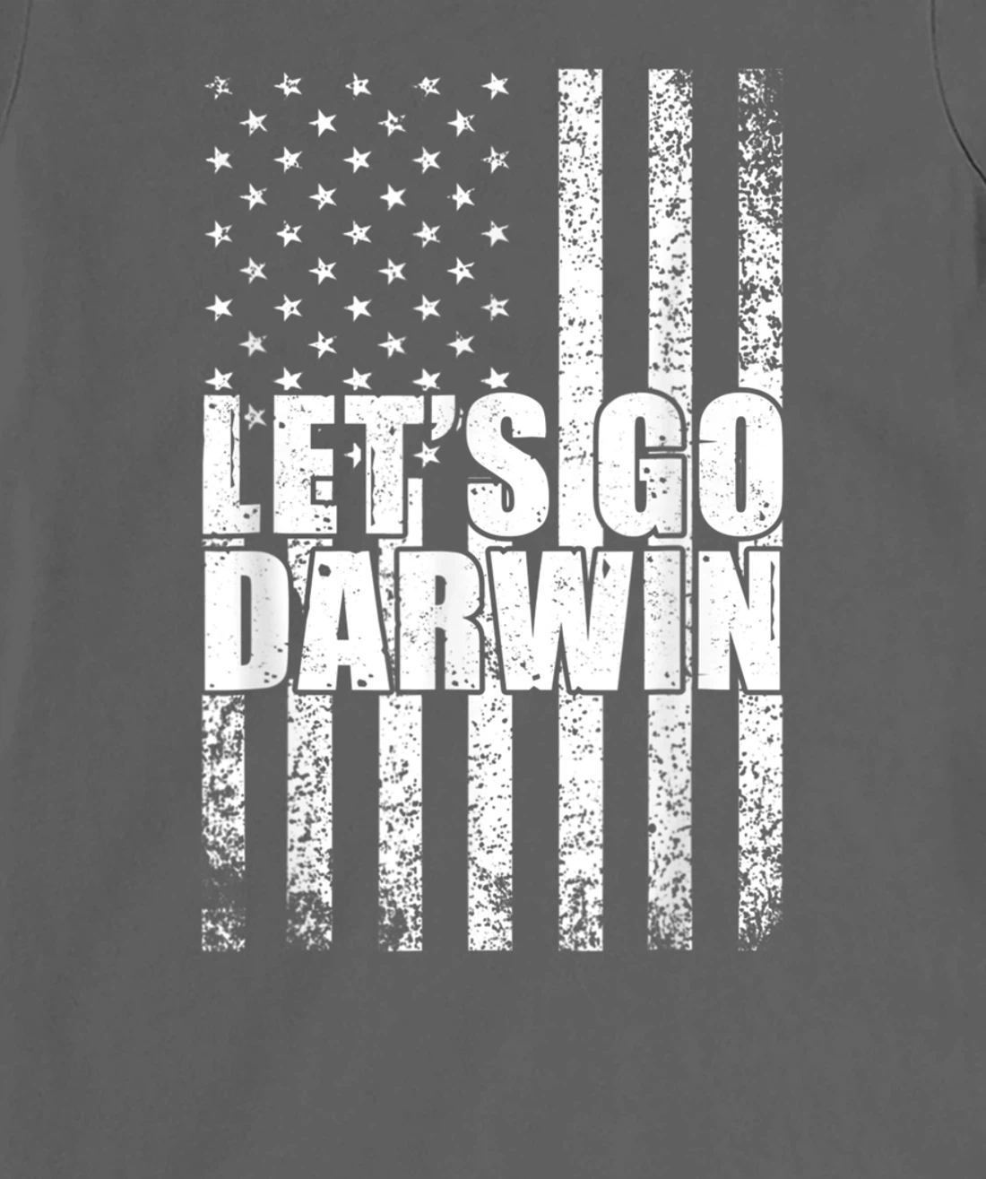 Lets Go Darwin Funny Sarcastic Vintage us Flag Graphic T-Shirt, Women T-Shirt