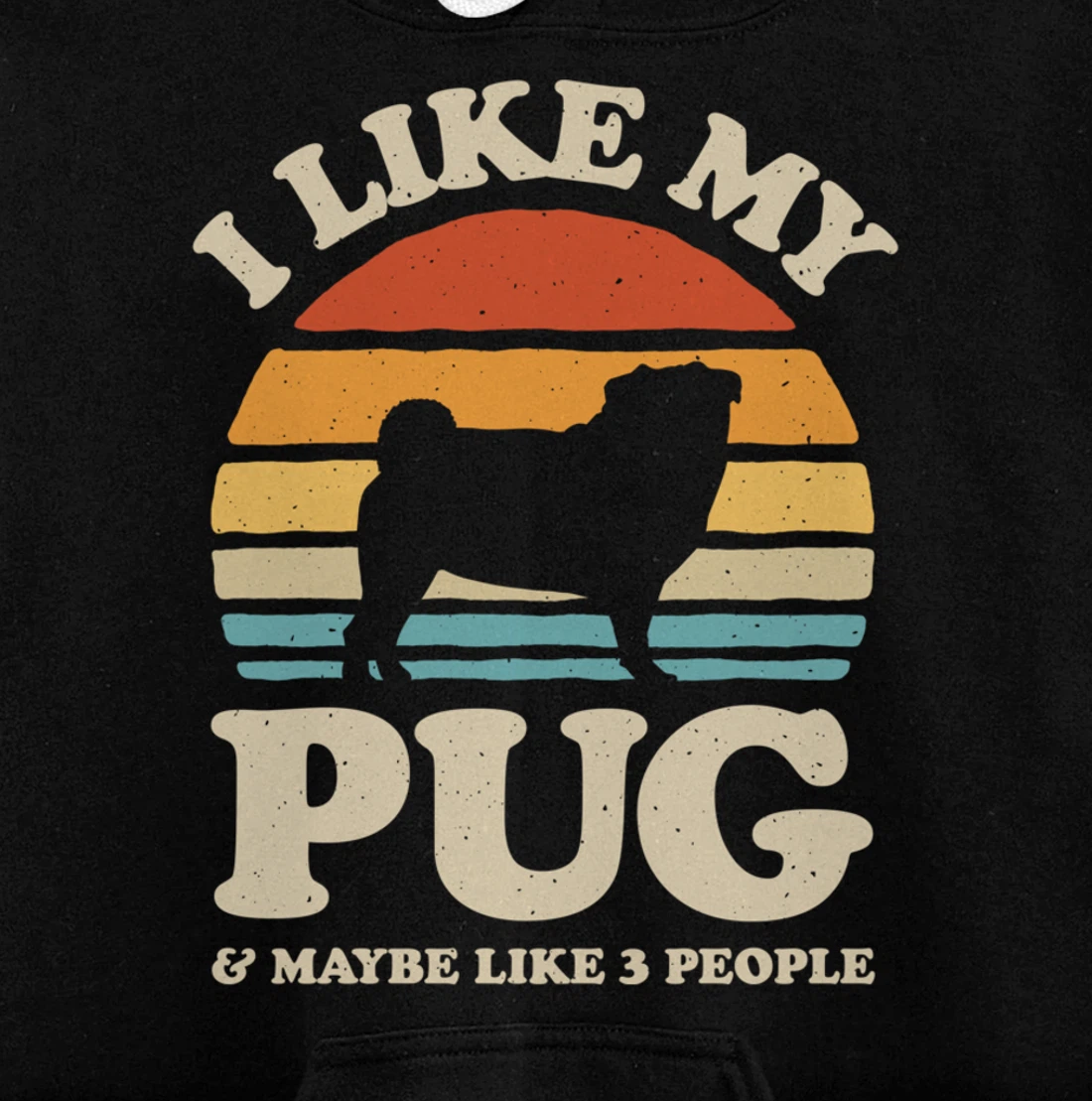 I Like My Pug And Maybe Like 3 People Dog Lover Retro Men Pullover Hoodie