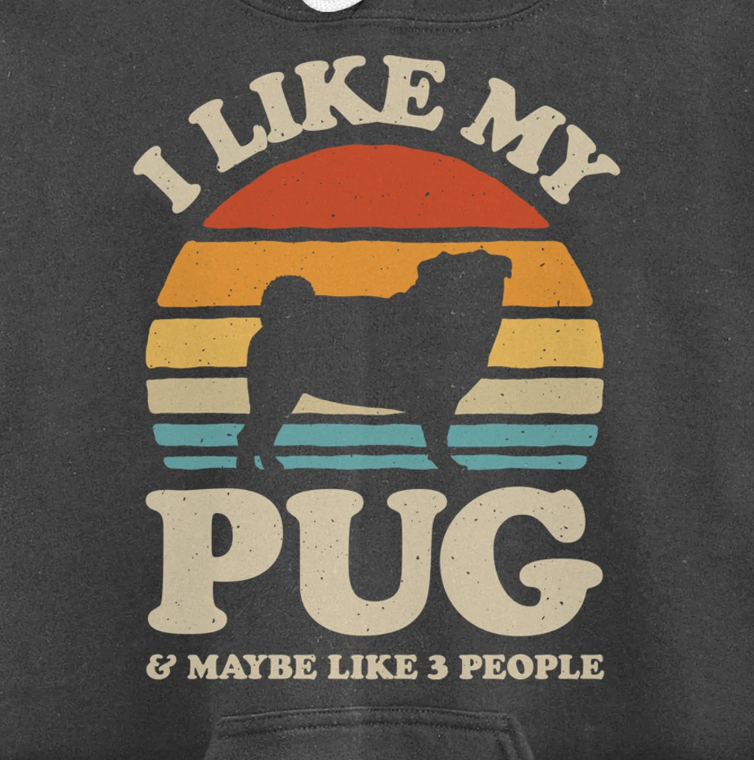 I Like My Pug And Maybe Like 3 People Dog Lover Retro Men Pullover Hoodie