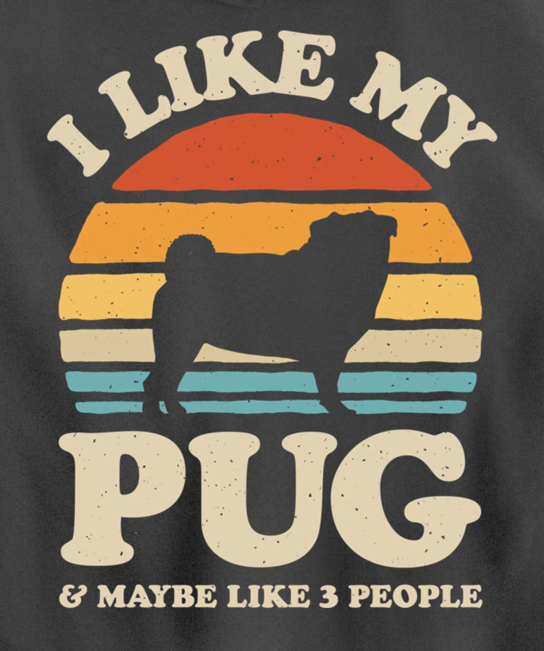I Like My Pug And Maybe Like 3 People Dog Lover Retro Men Pullover Hoodie