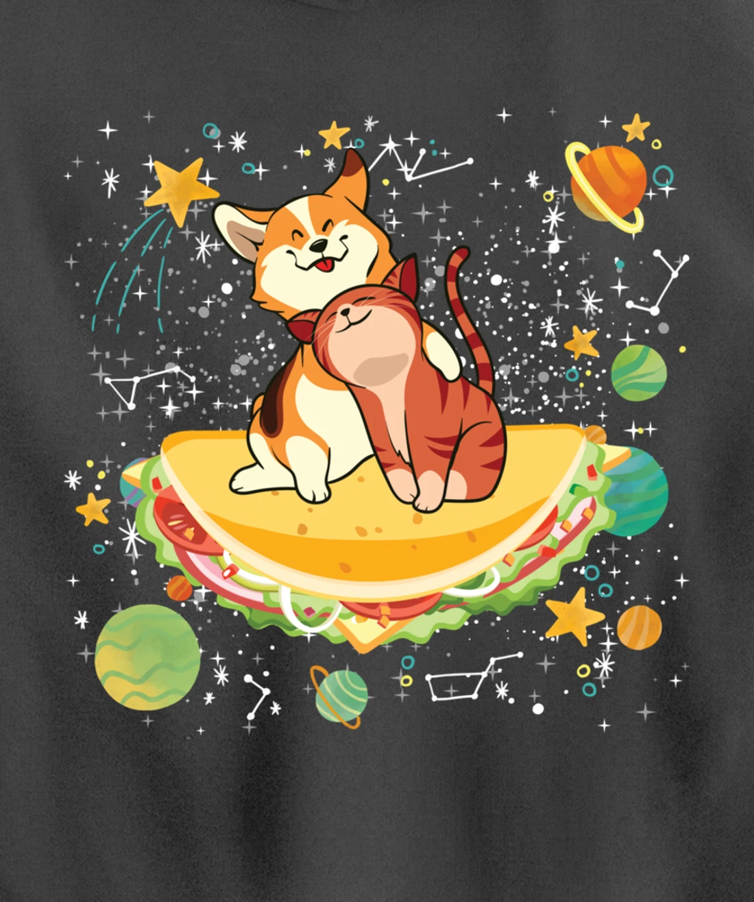 Cute Cats Mexican Food Tacocat Science Galaxy Pullover Hoodie
