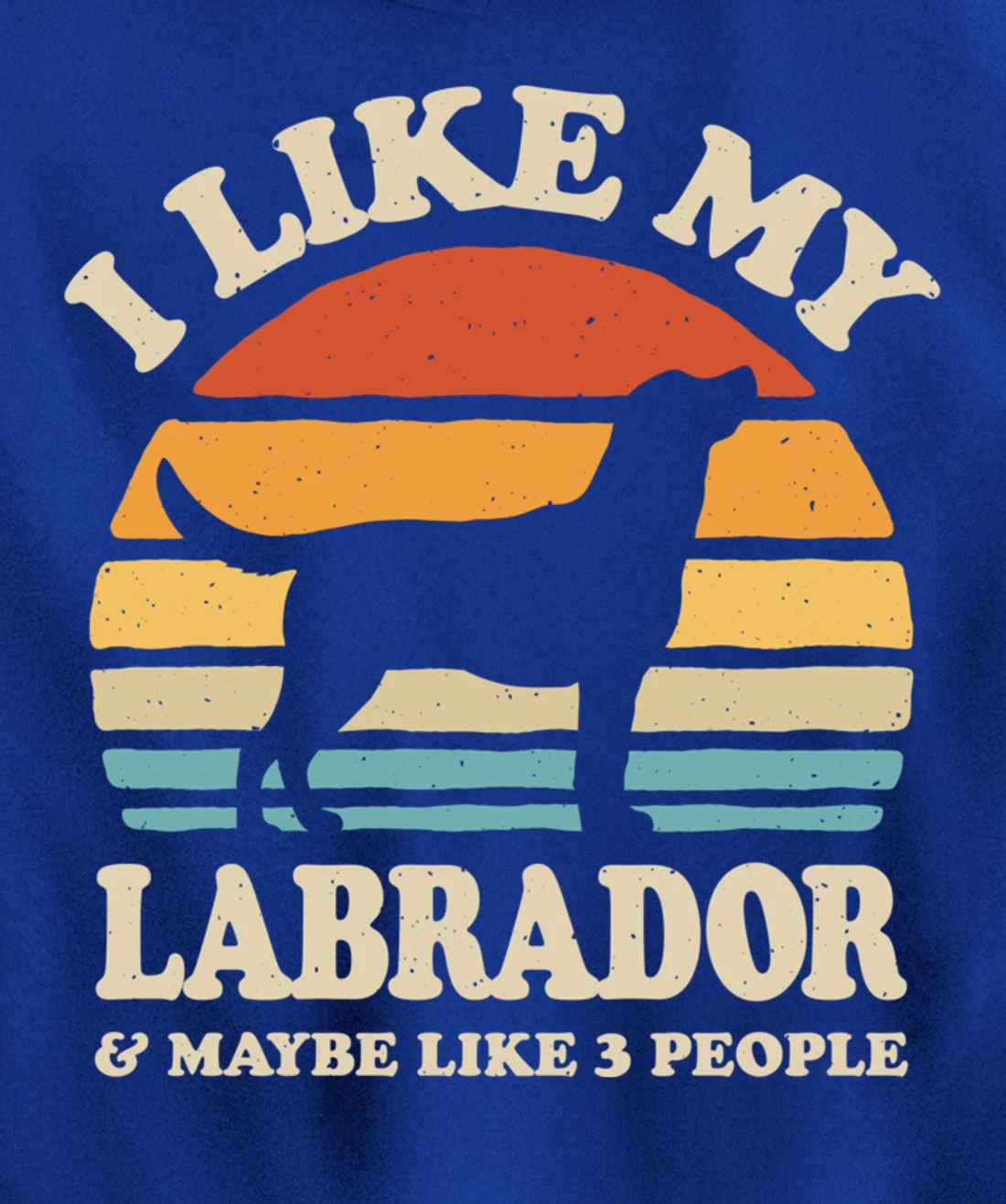 I Like My Labrador And Maybe Like 3 People Dog Lover Retro Pullover Hoodie