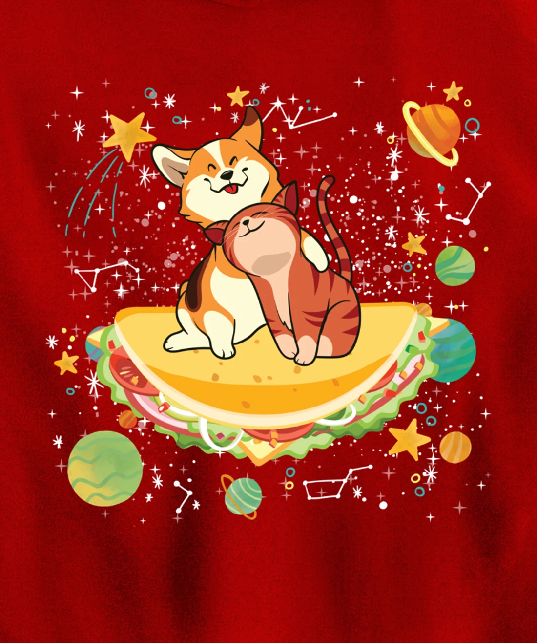 Cute Cats Mexican Food Tacocat Science Galaxy Pullover Hoodie