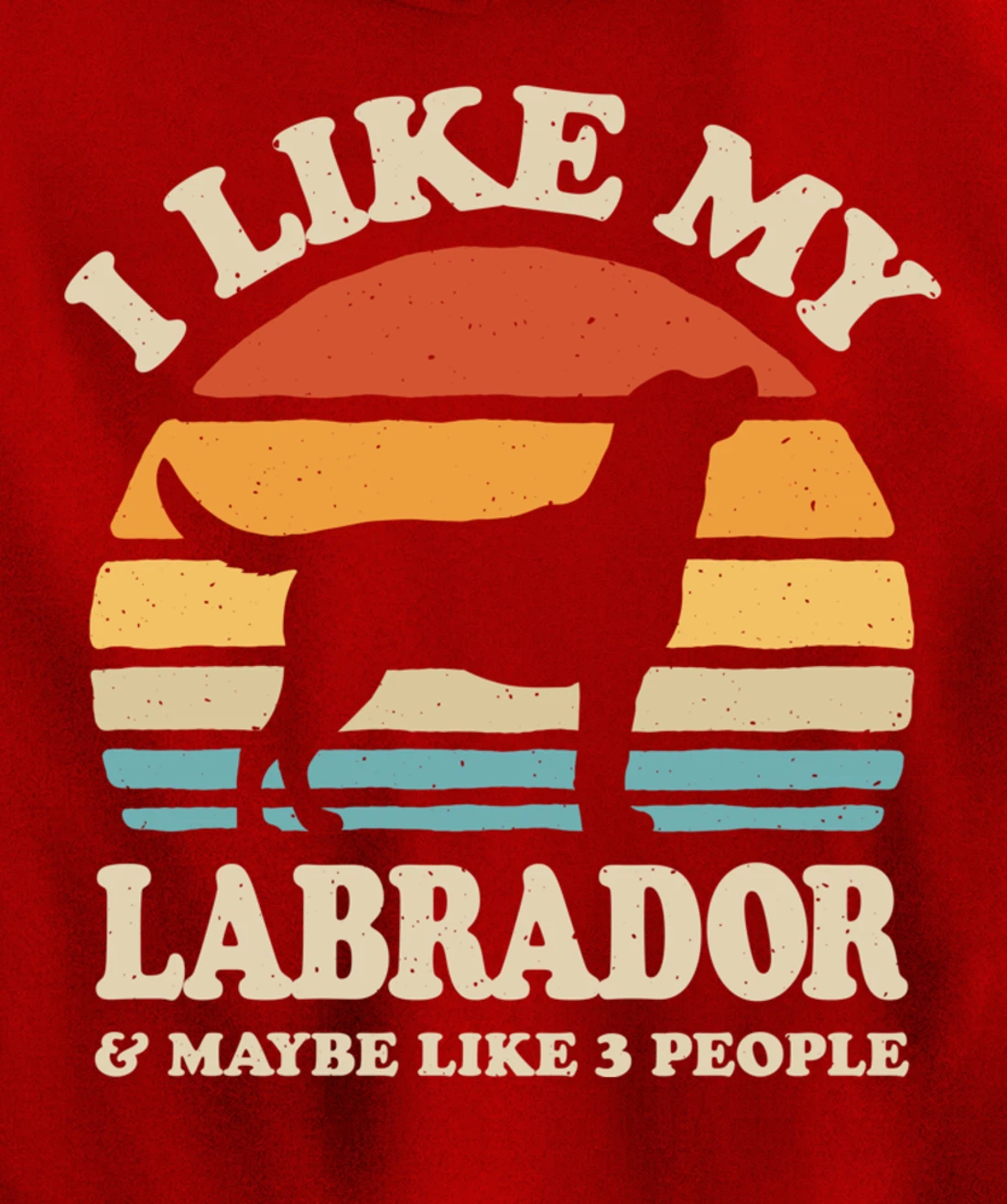 I Like My Labrador And Maybe Like 3 People Dog Lover Retro Pullover Hoodie