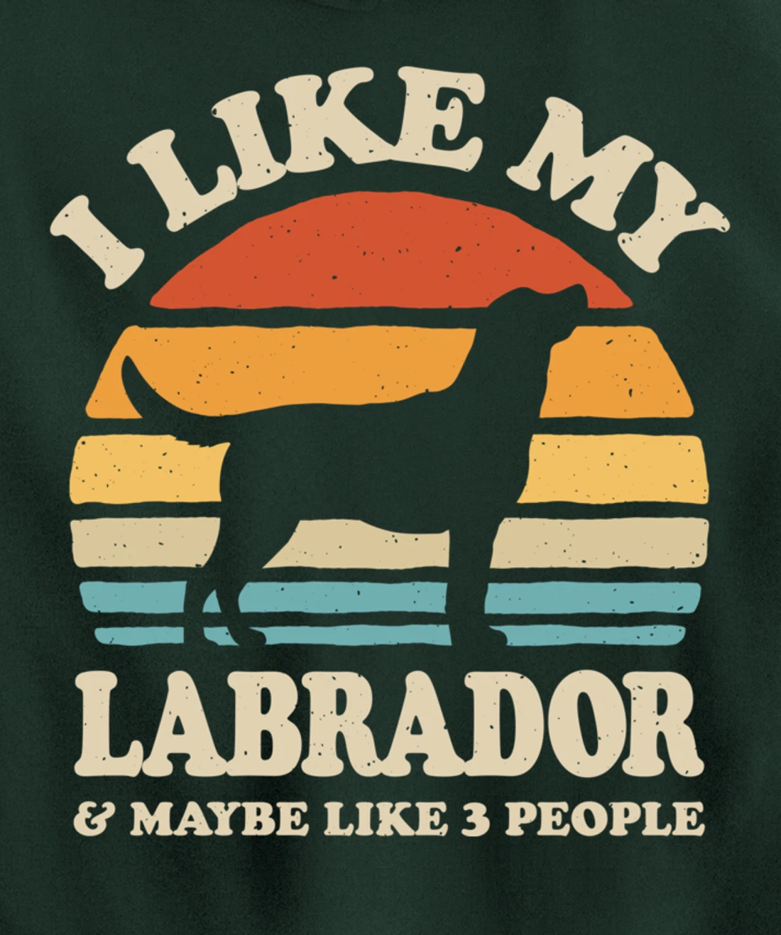 I Like My Labrador And Maybe Like 3 People Dog Lover Retro Pullover Hoodie