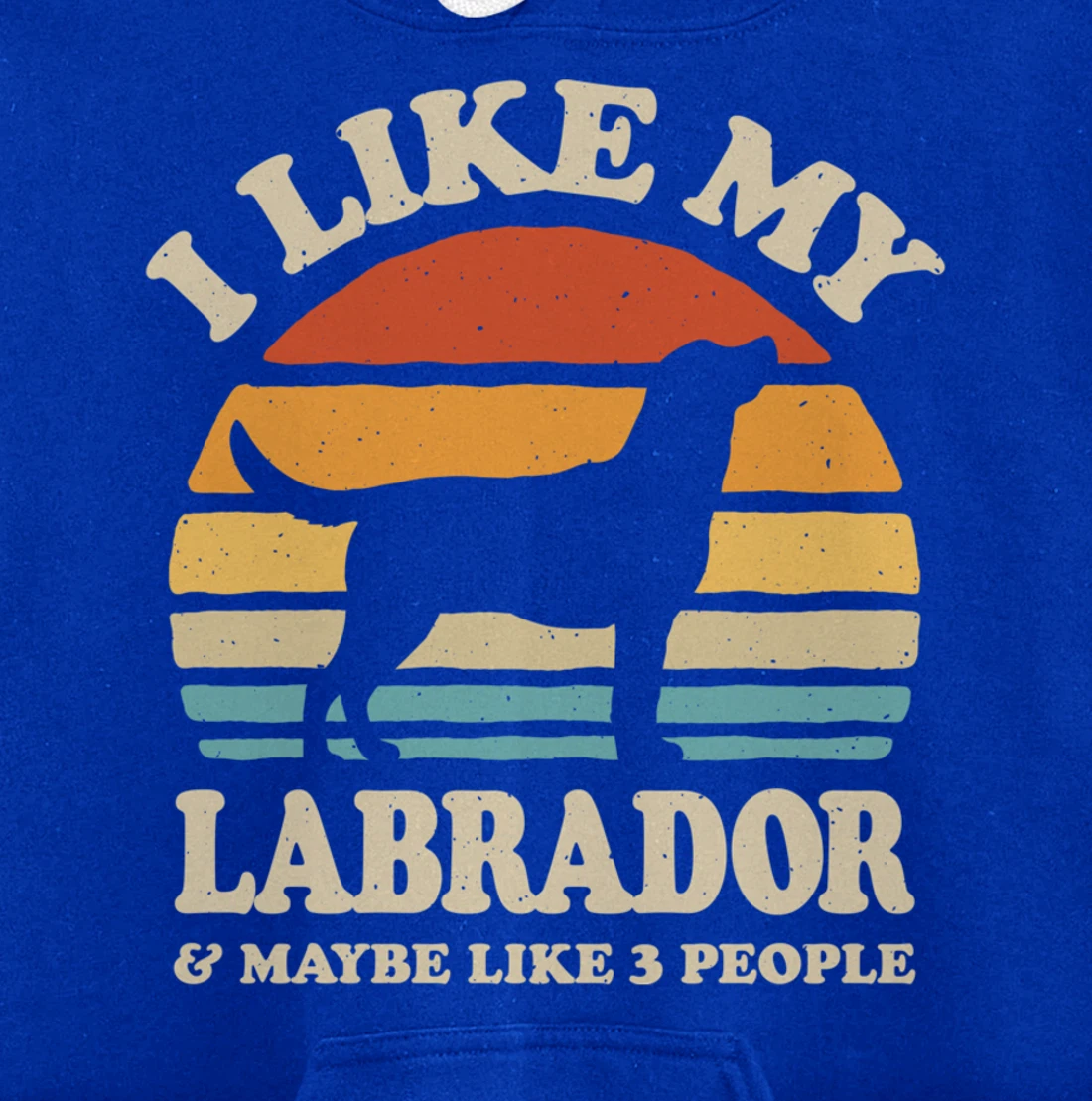 I Like My Labrador And Maybe Like 3 People Dog Lover Retro Pullover Hoodie