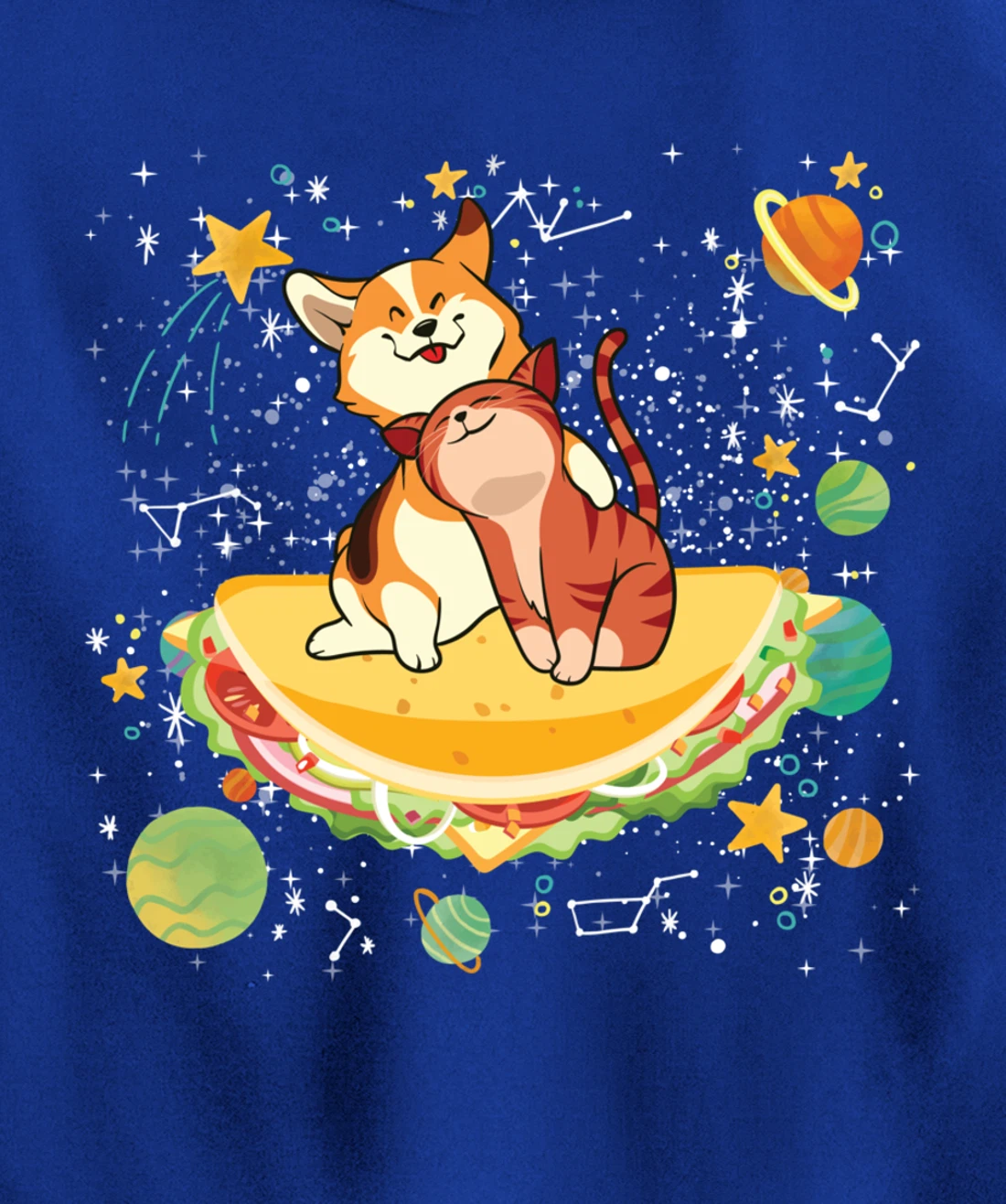 Cute Cats Mexican Food Tacocat Science Galaxy Pullover Hoodie