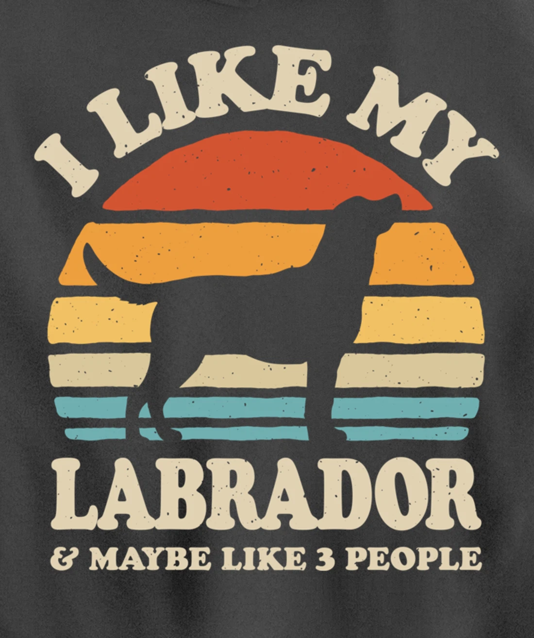 I Like My Labrador And Maybe Like 3 People Dog Lover Retro Pullover Hoodie