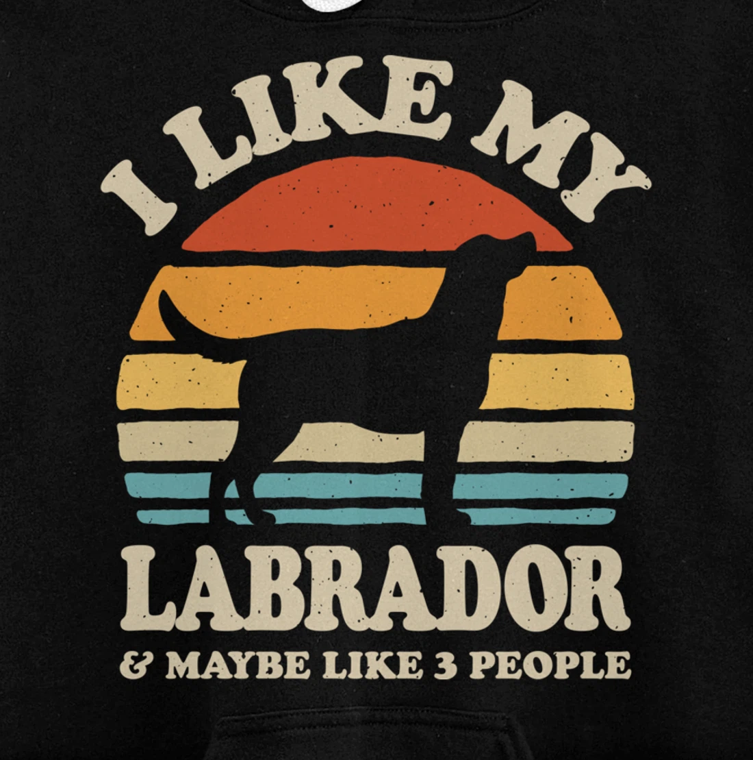 I Like My Labrador And Maybe Like 3 People Dog Lover Retro Pullover Hoodie