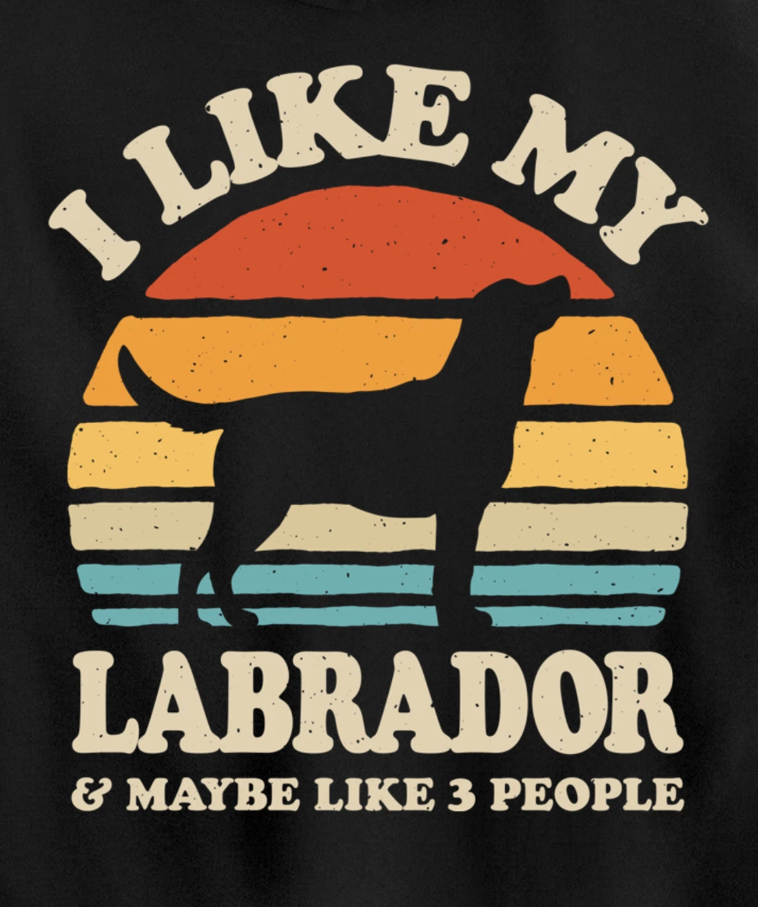I Like My Labrador And Maybe Like 3 People Dog Lover Retro Pullover Hoodie