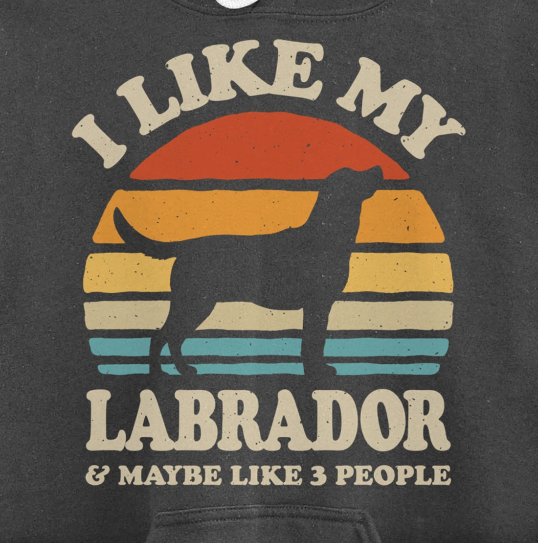 I Like My Labrador And Maybe Like 3 People Dog Lover Retro Pullover Hoodie