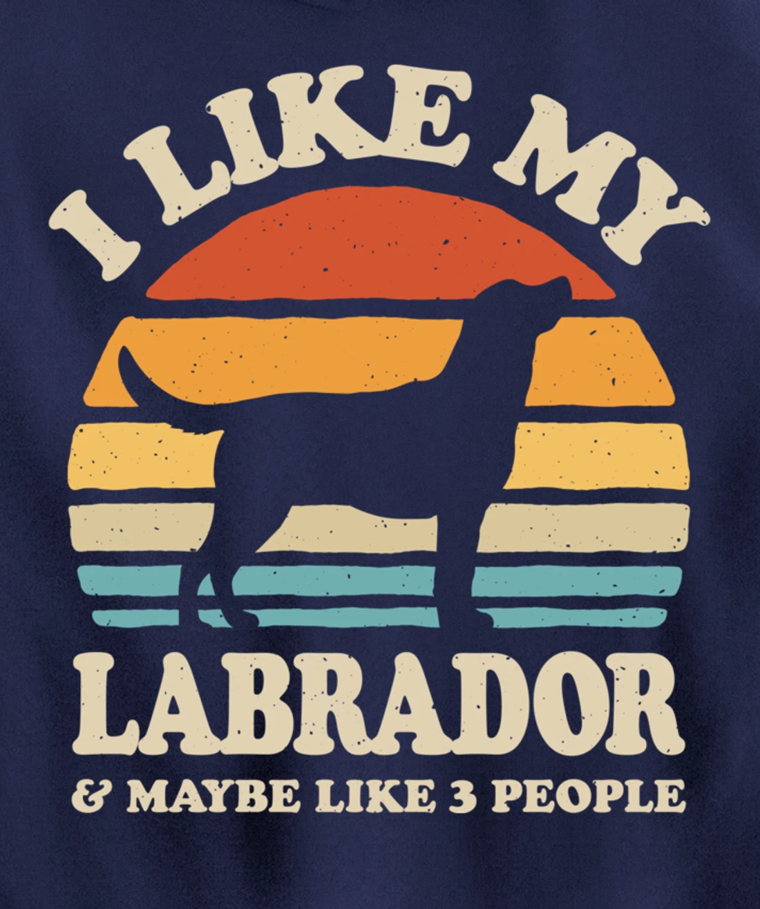 I Like My Labrador And Maybe Like 3 People Dog Lover Retro Pullover Hoodie