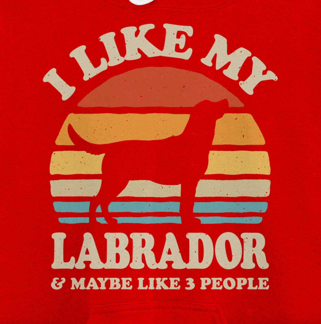 I Like My Labrador And Maybe Like 3 People Dog Lover Retro Pullover Hoodie