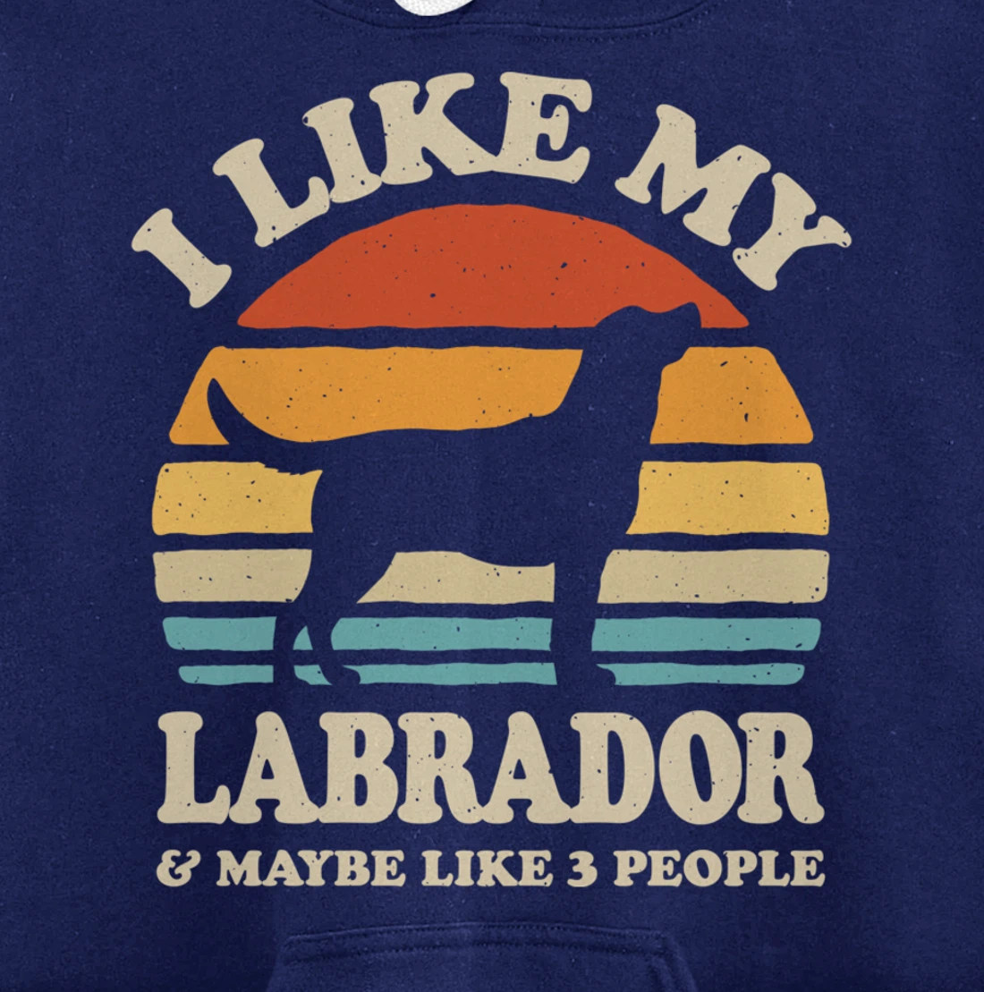 I Like My Labrador And Maybe Like 3 People Dog Lover Retro Pullover Hoodie