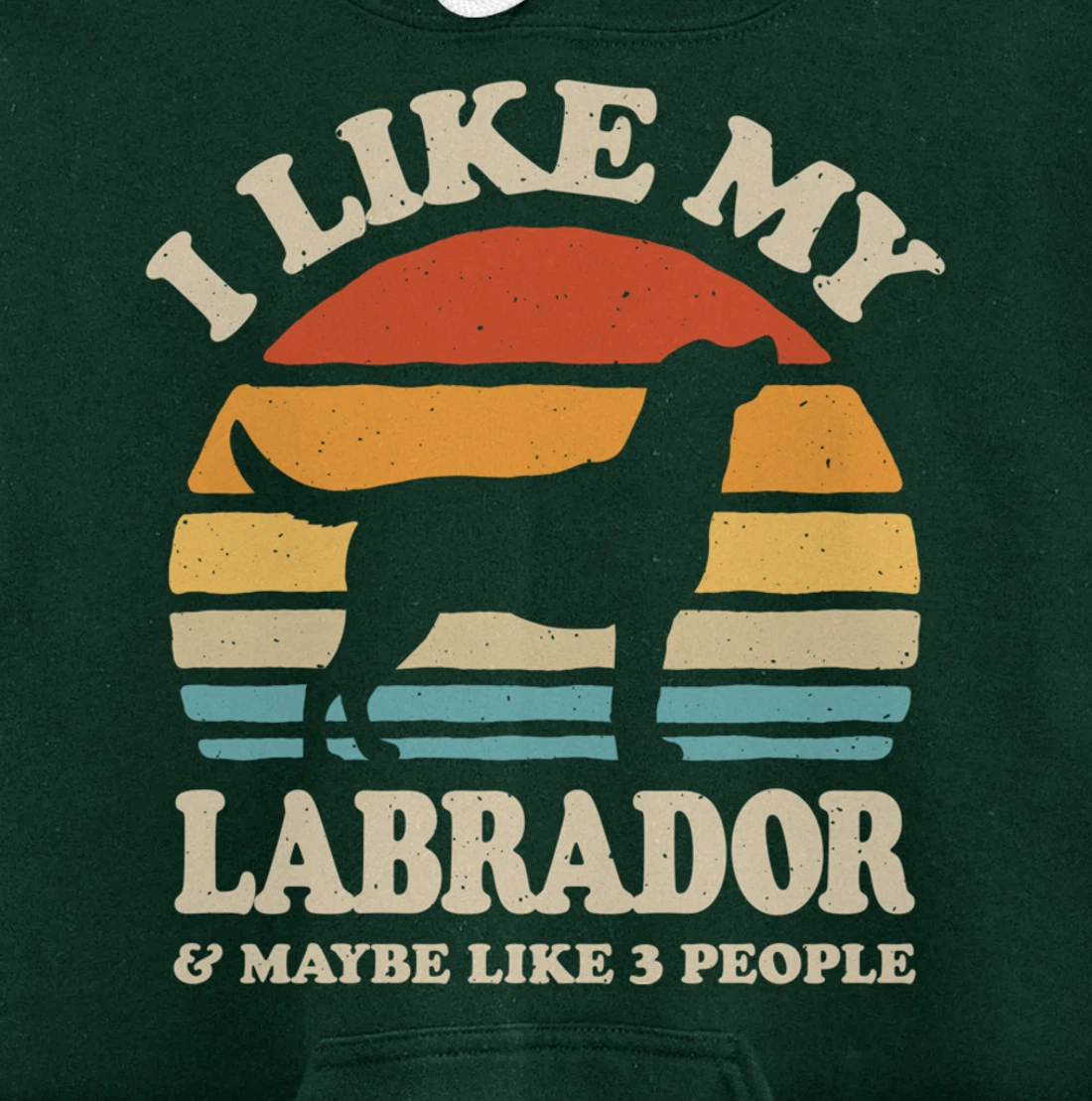 I Like My Labrador And Maybe Like 3 People Dog Lover Retro Pullover Hoodie