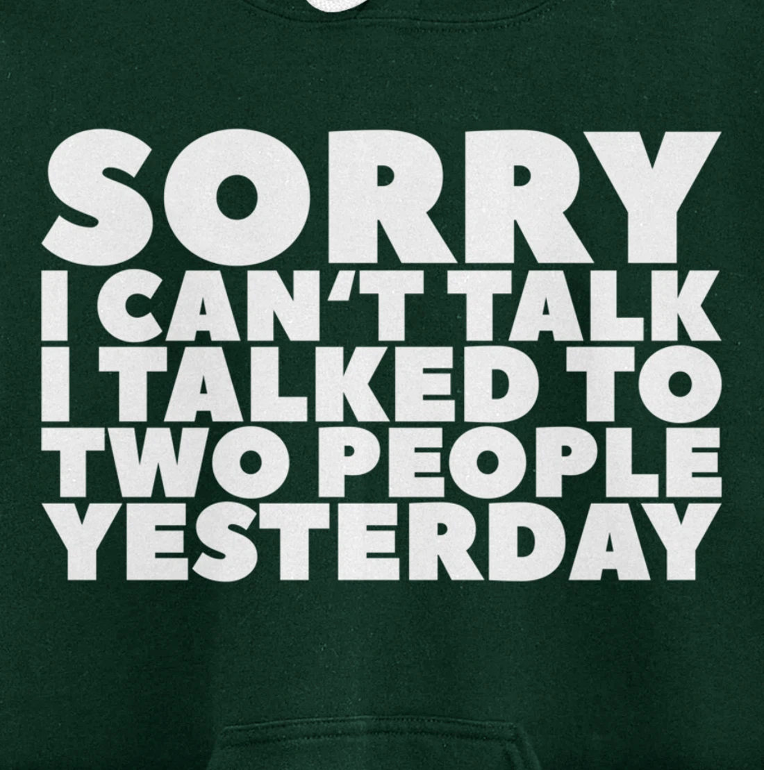 Sorry I Can't Talk I Talked To Two People Yesterday Pullover Hoodie