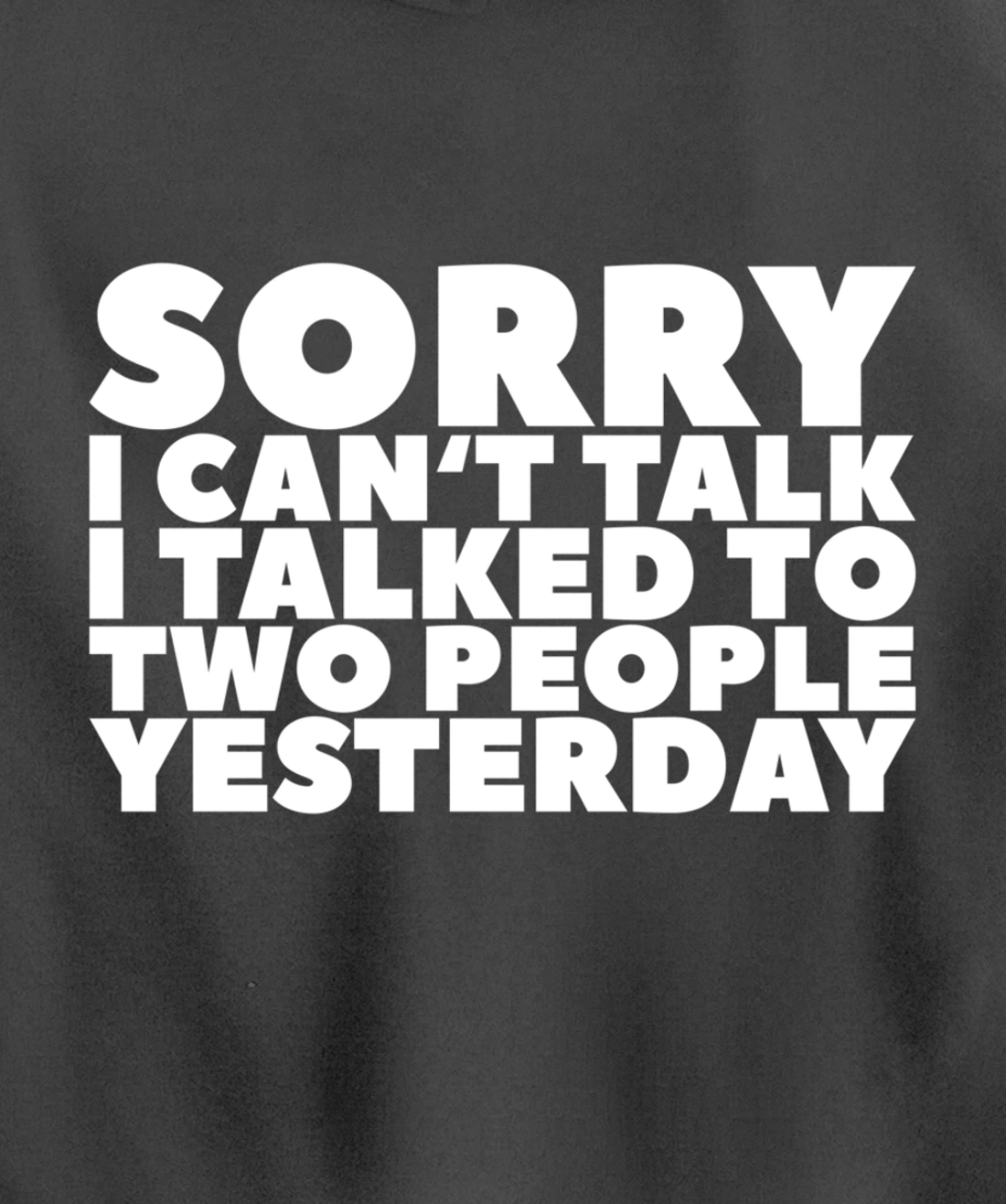 Sorry I Can't Talk I Talked To Two People Yesterday Pullover Hoodie
