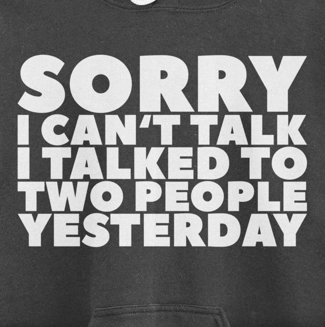 Sorry I Can't Talk I Talked To Two People Yesterday Pullover Hoodie