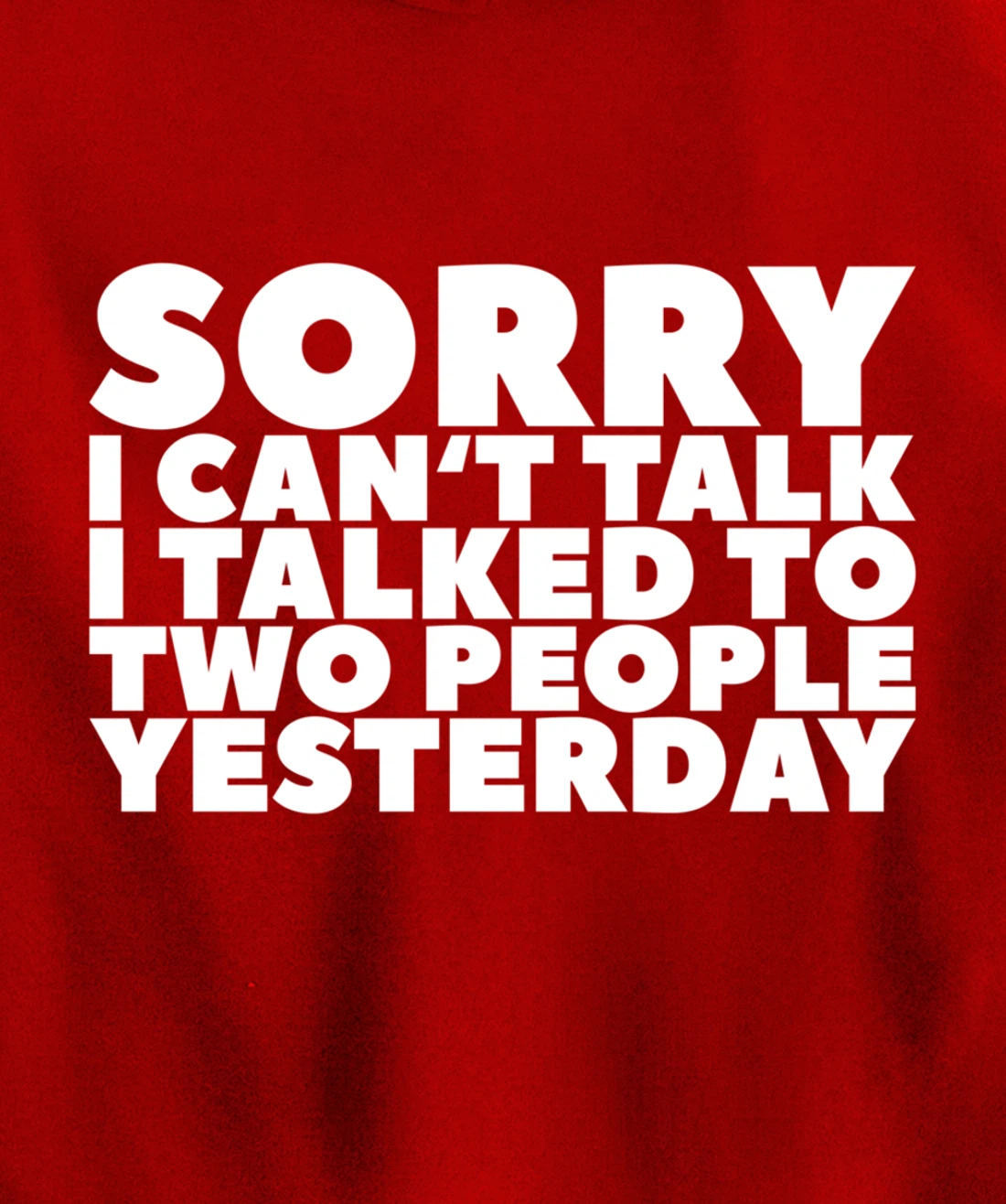Sorry I Can't Talk I Talked To Two People Yesterday Pullover Hoodie