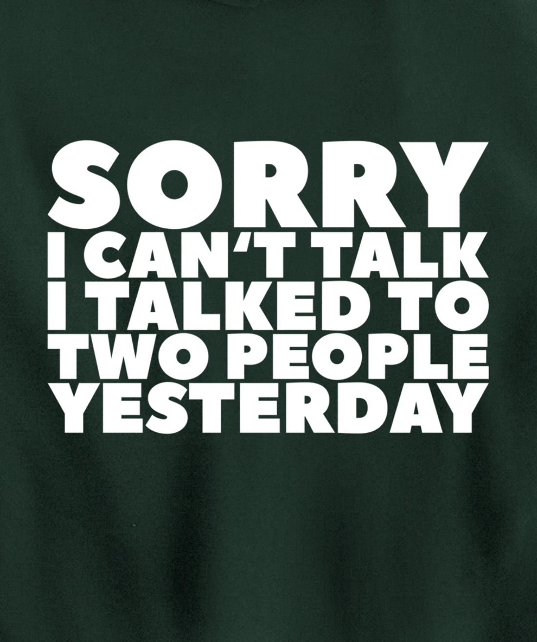 Sorry I Can't Talk I Talked To Two People Yesterday Pullover Hoodie