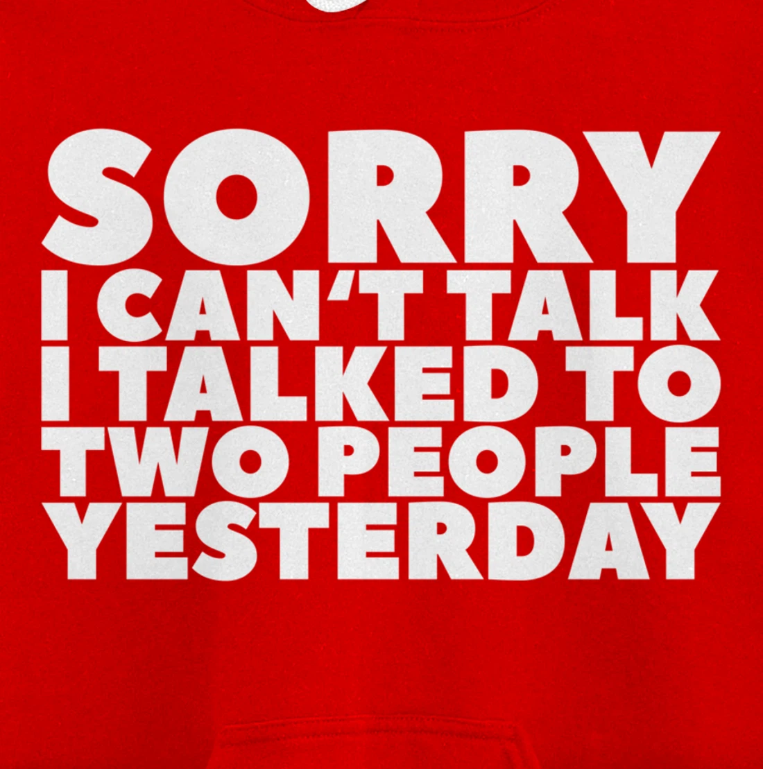 Sorry I Can't Talk I Talked To Two People Yesterday Pullover Hoodie