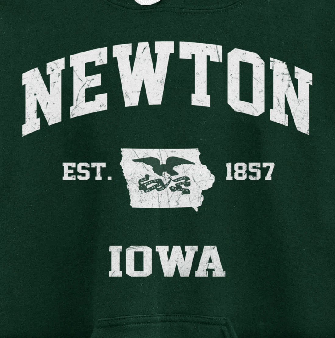 Newton Iowa IA vintage State Athletic style Pullover Hoodie