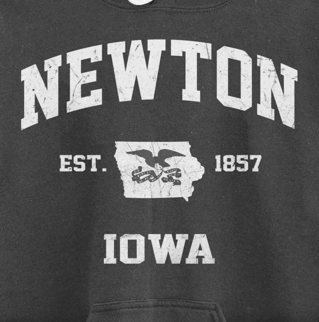 Newton Iowa IA vintage State Athletic style Pullover Hoodie