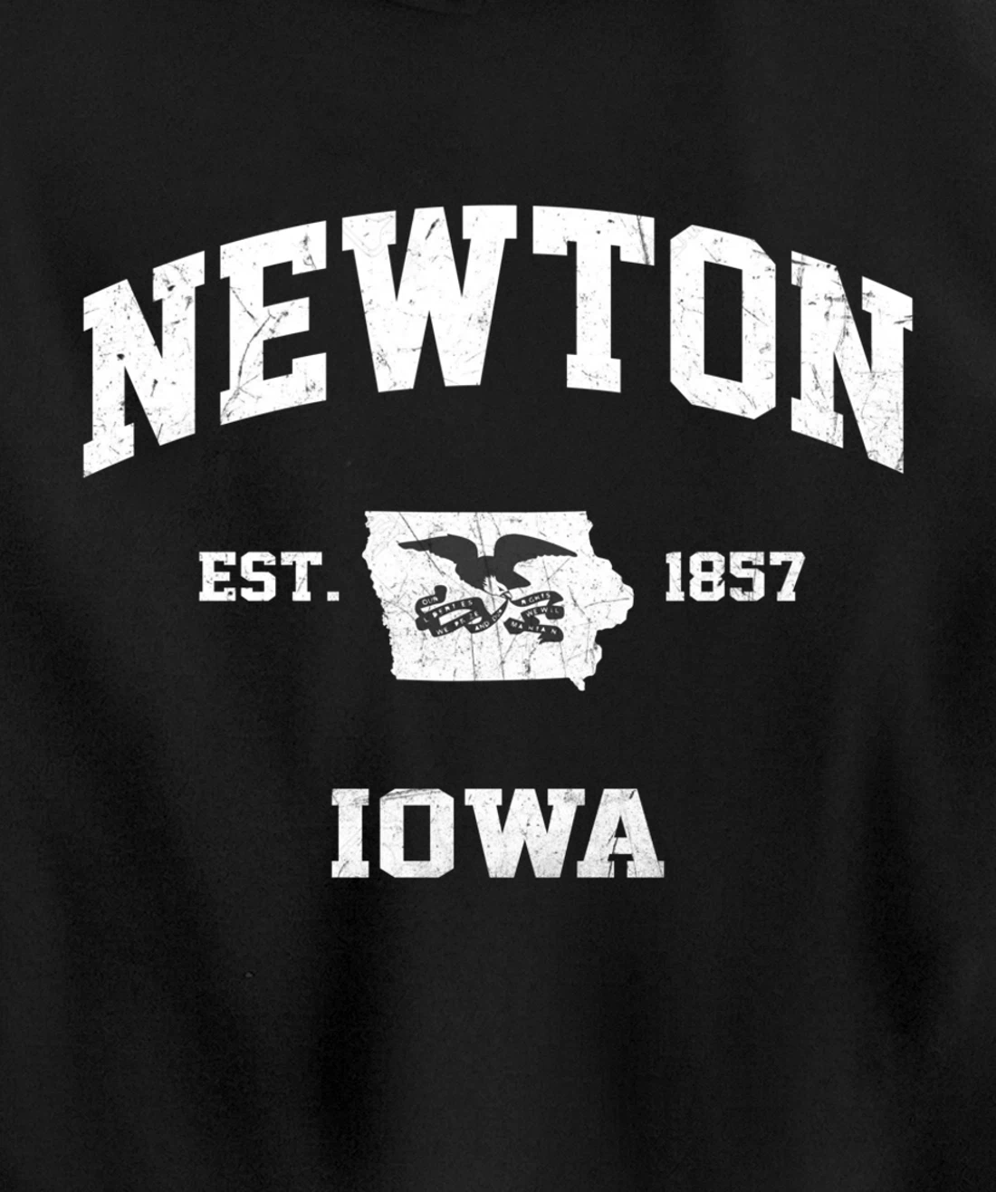 Newton Iowa IA vintage State Athletic style Pullover Hoodie