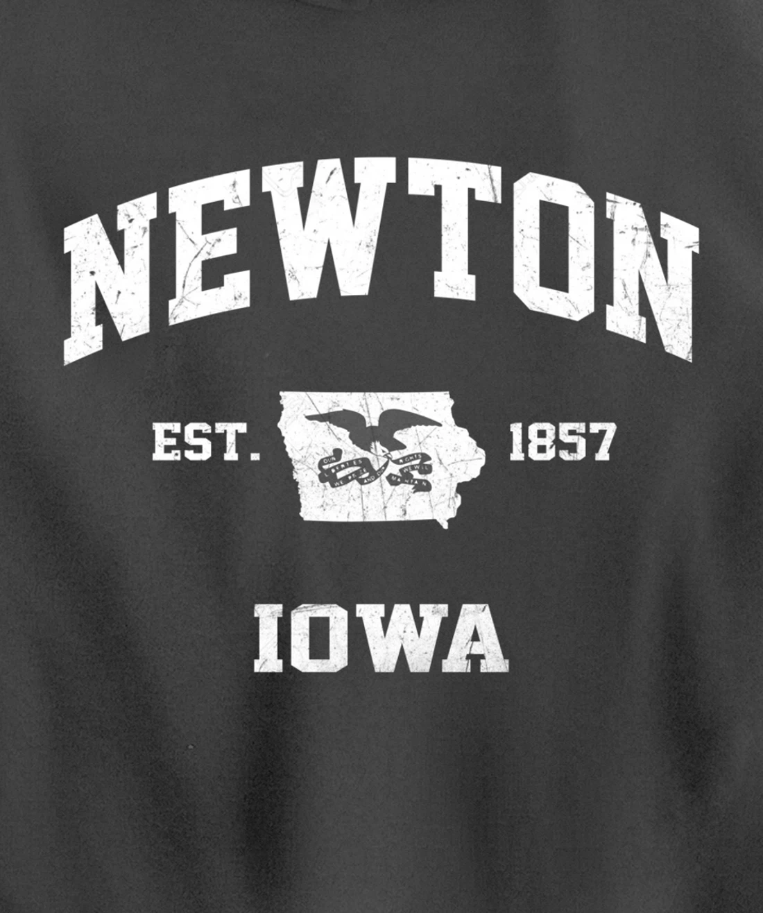 Newton Iowa IA vintage State Athletic style Pullover Hoodie