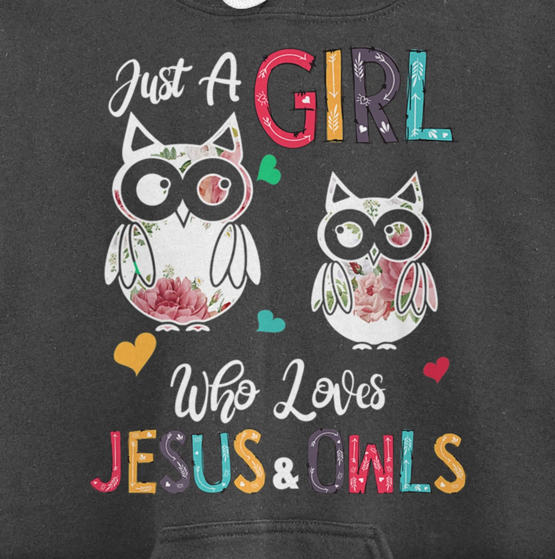 Just a Girl Who Loves Jesus And Owls Costume Christian Pullover Hoodie